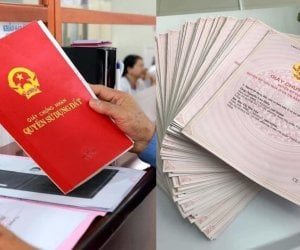 Đọc nhanh bài viết #1003072