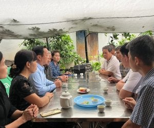 Đọc nhanh bài viết #1003135