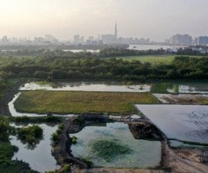 Đọc nhanh bài viết #1003180