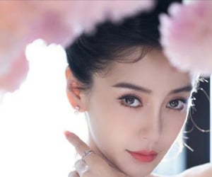 Ảnh bìa bài viết 1003206