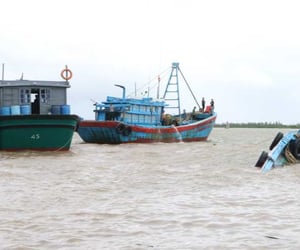Ảnh bìa bài viết 1003216
