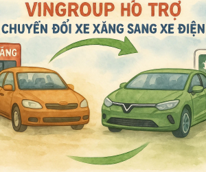 Đọc nhanh bài viết #1003306