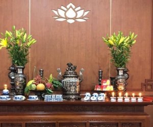 Đọc nhanh bài viết #1003524