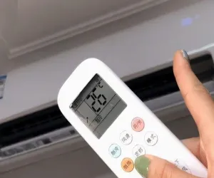 Đọc nhanh bài viết #1003556