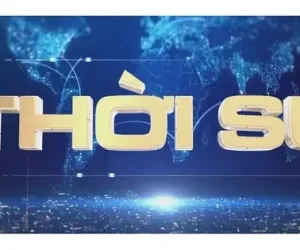 Đọc nhanh bài viết #1003576
