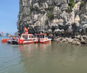 Docnhanh bài viết #1003854