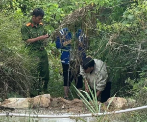 Docnhanh bài viết #1004027