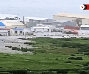 Ảnh bìa bài viết 1004157