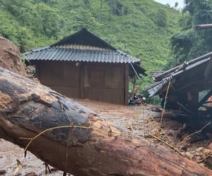 Docnhanh bài viết #1004454