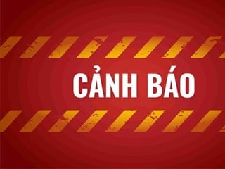 Ảnh bìa bài viết 1000728
