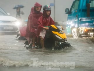 Ảnh bìa bài viết 1001344