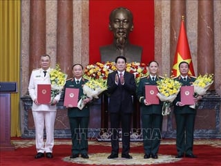 Docnhanh bài viết #1004503