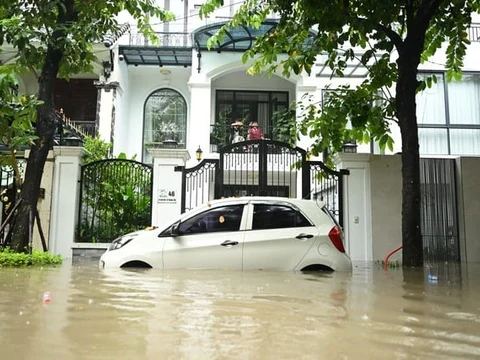 Ảnh bài viết