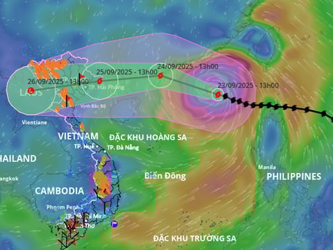 Ảnh bài viết