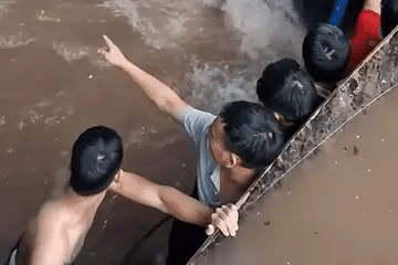 Ảnh bài viết