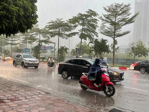 Ảnh bài viết