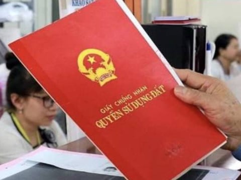 Ảnh bài viết