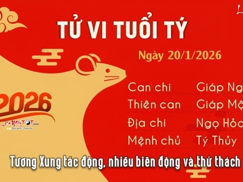 Ảnh bài viết