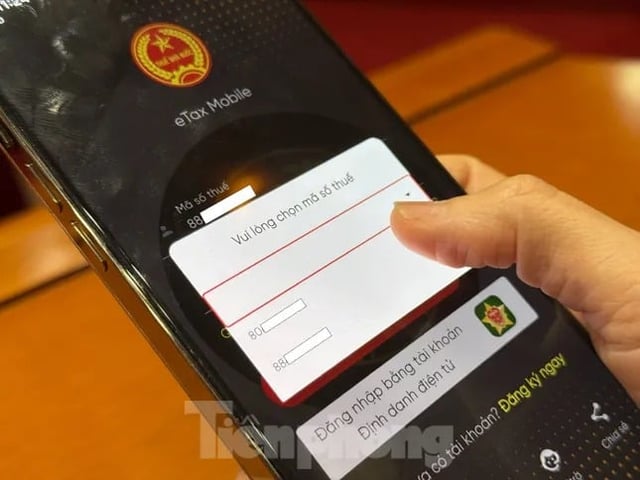 Ảnh bìa bài viết 1000069