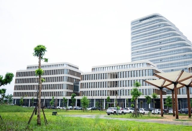 Ảnh bìa bài viết 1000138