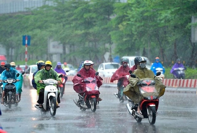 Ảnh bìa bài viết 1000186