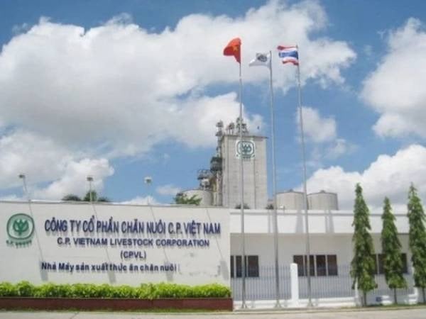 Ảnh bìa bài viết 1000242