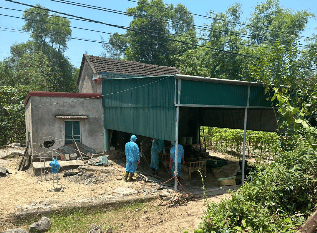 Ảnh bìa bài viết 1000545