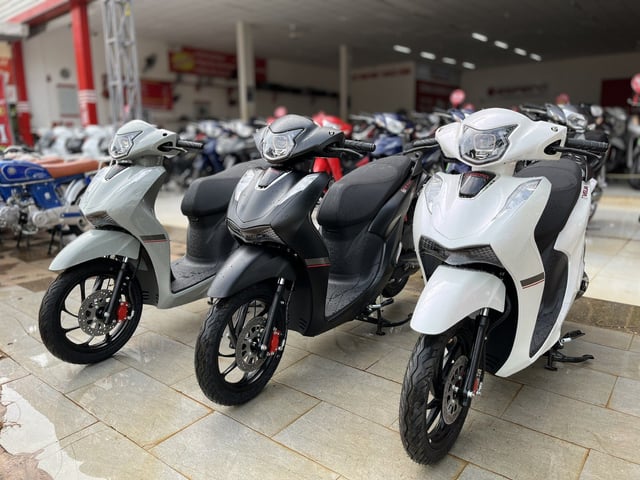 Ảnh bìa bài viết 1000558