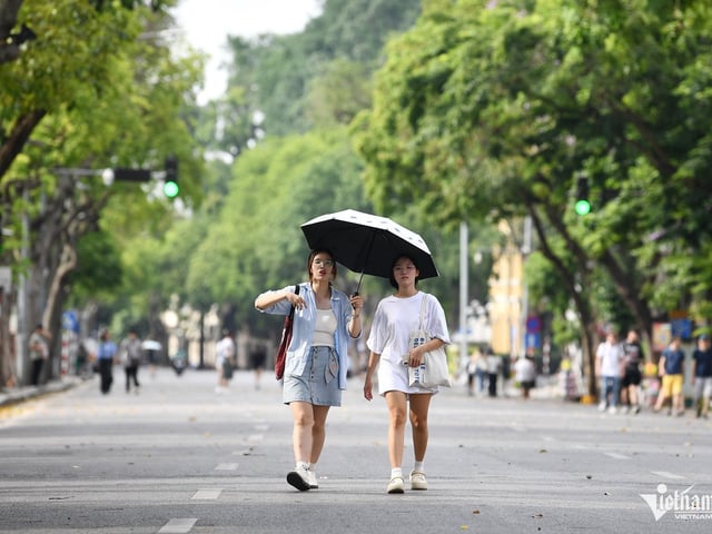 Ảnh bìa bài viết 1000648