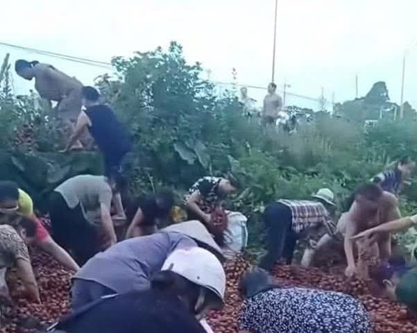 Ảnh bìa bài viết 1001063