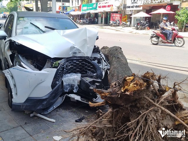 Ảnh bìa bài viết 1001253