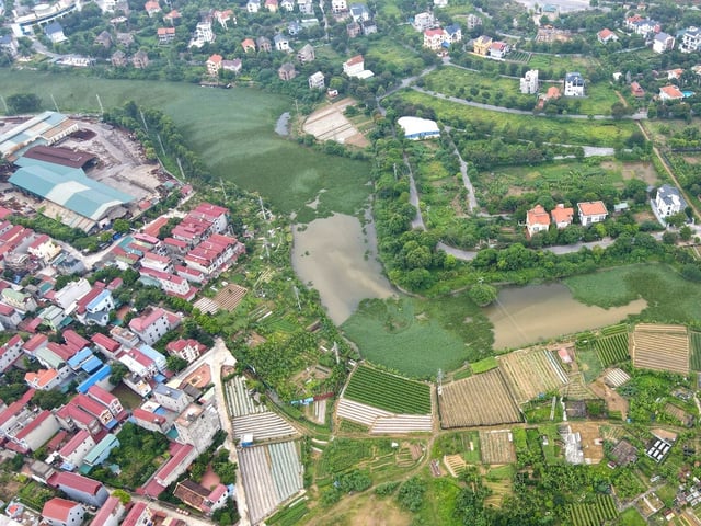 Ảnh bìa bài viết 1001347
