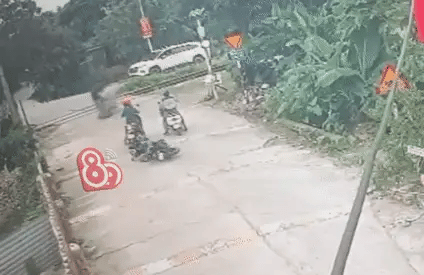 Ảnh bìa bài viết 1001591