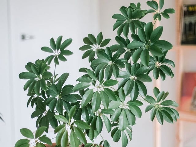 Ảnh bìa bài viết 1001663