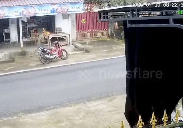Ảnh bìa bài viết 1001768