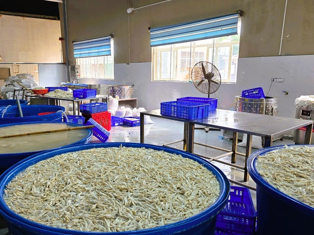 Ảnh bìa bài viết 1001961