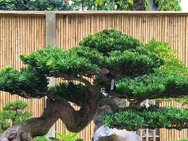 Ảnh bìa bài viết 1002211