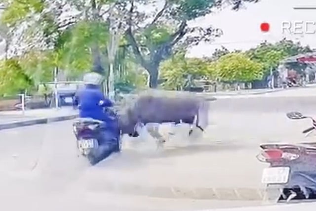 Ảnh bìa bài viết 1002328