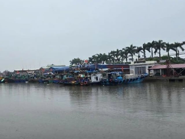 Ảnh bìa bài viết 1002987