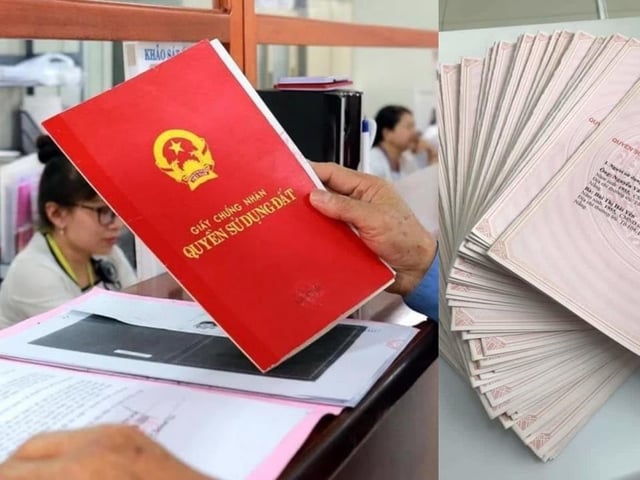 Ảnh bìa bài viết 1003072