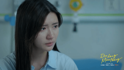 Ảnh bìa bài viết 1003084