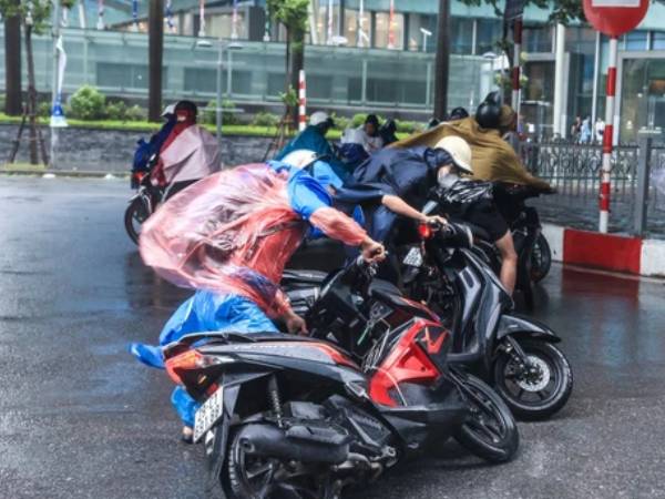 Ảnh bìa bài viết 1003127