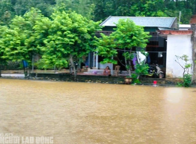 Ảnh bìa bài viết 1003197