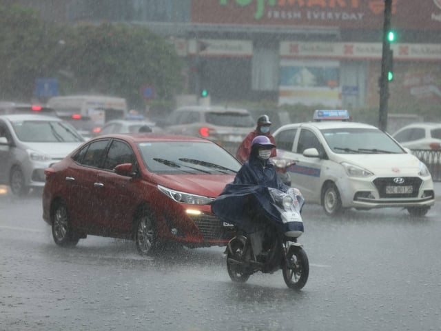 Ảnh bìa bài viết 1003235