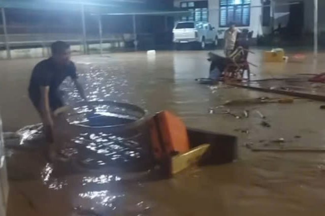 Ảnh bìa bài viết 1003236