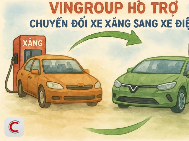 Ảnh bìa bài viết 1003306