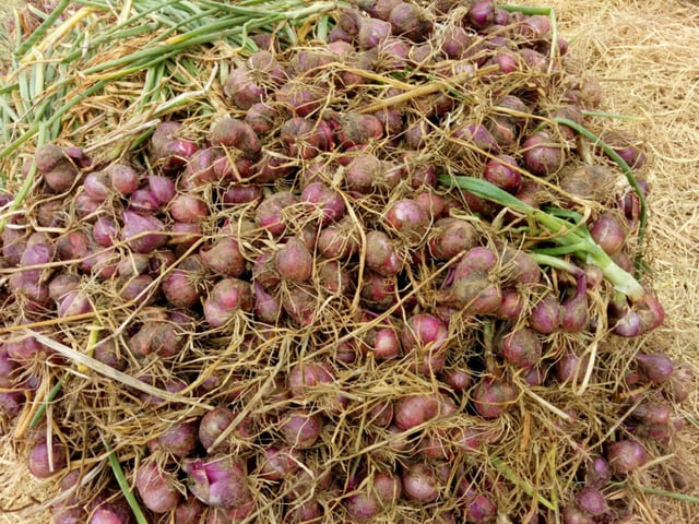 Ảnh bìa bài viết 1003317