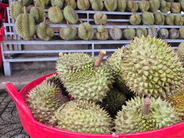 Ảnh bìa bài viết 1003476
