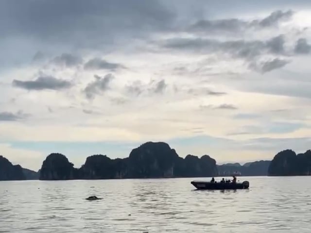 Ảnh bìa bài viết 1003593