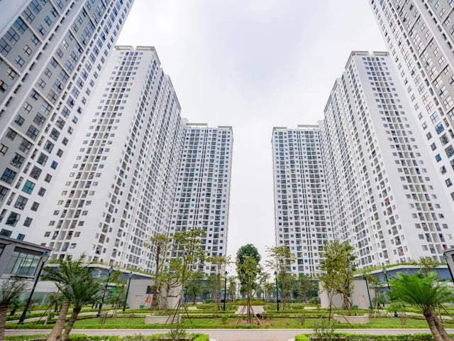 Ảnh bìa bài viết 1003998